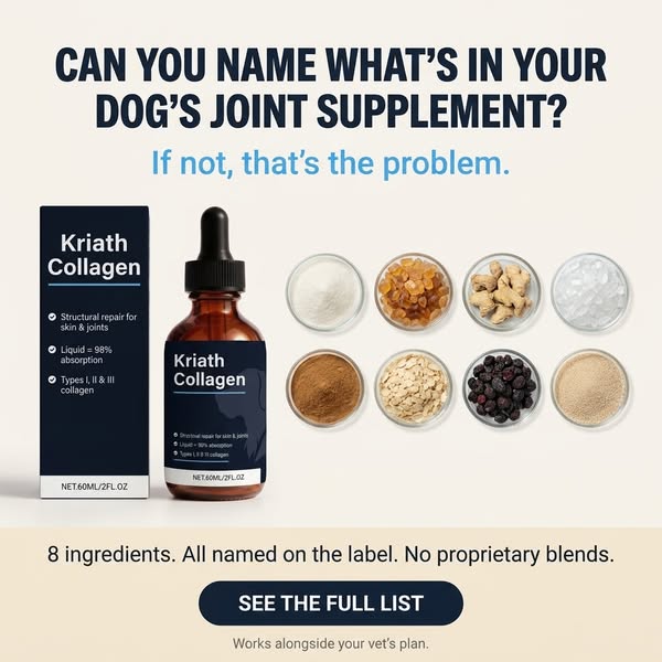 Every Ingredient Named. Nothing Hidden.