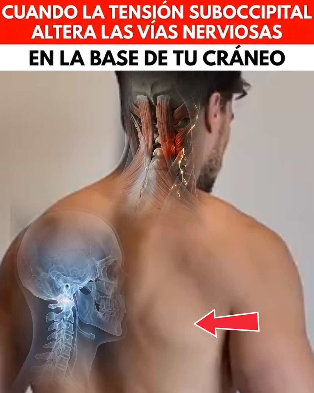 Antes: 3 especialistas, 2 años, cero respuestas. Después: 15 minutos al día.