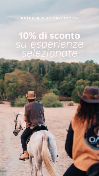 Il regalo perfetto