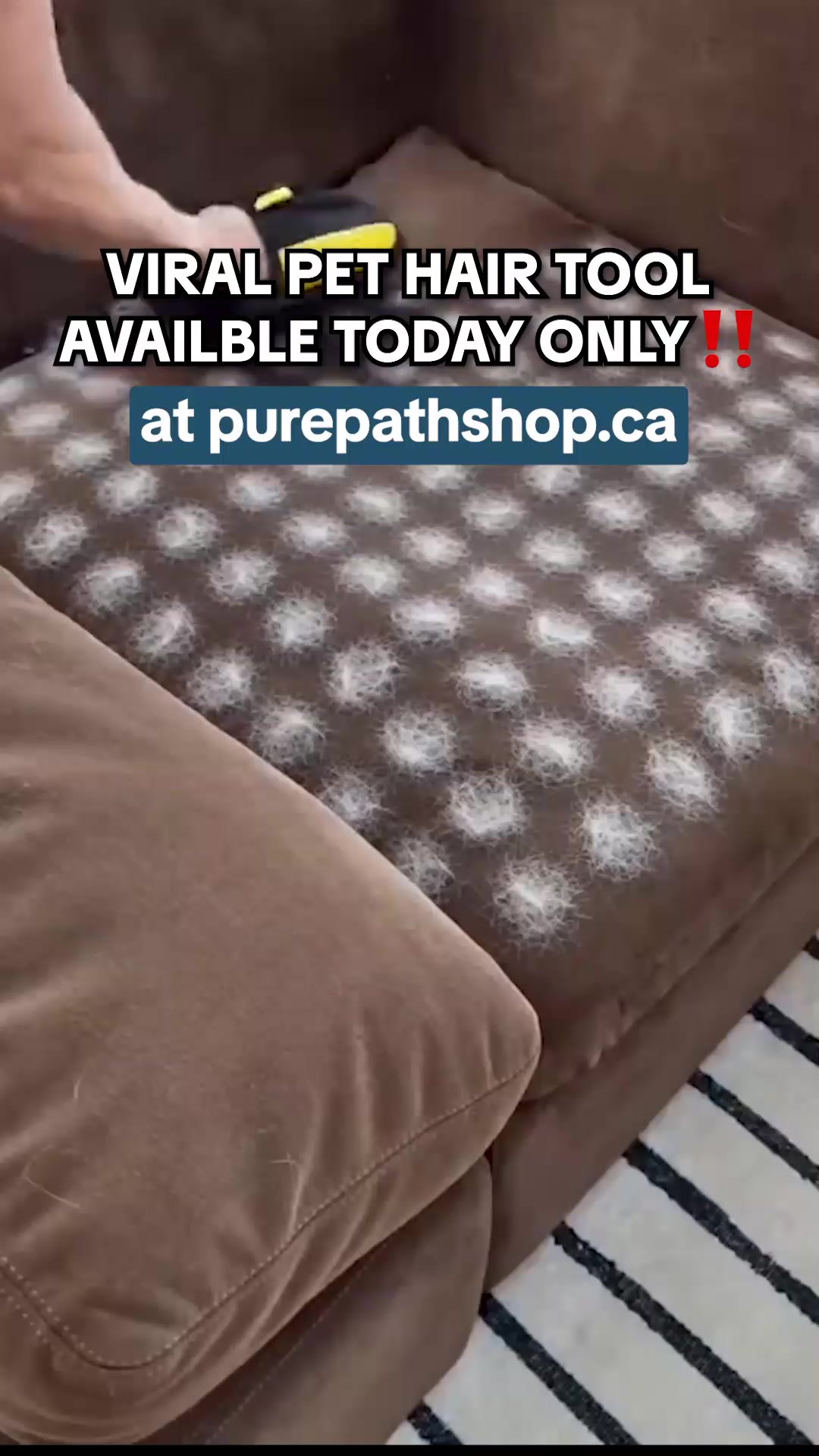 SALE + FREE Shipping!