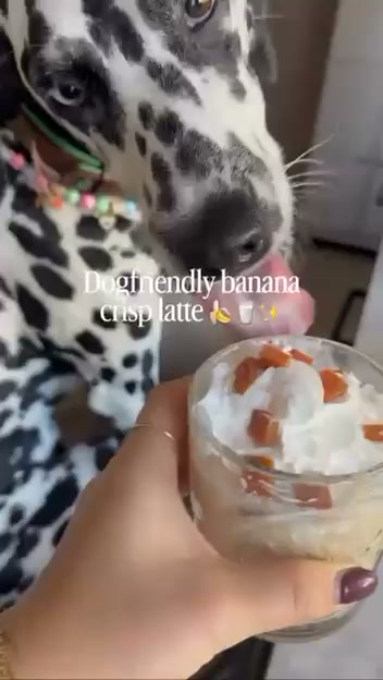 Geef je hond een gezonde boost