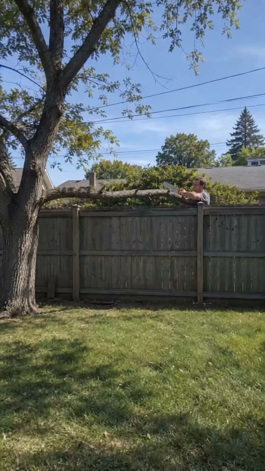 I'm a beginner. This chainsaw made me look like I know what I'm doing