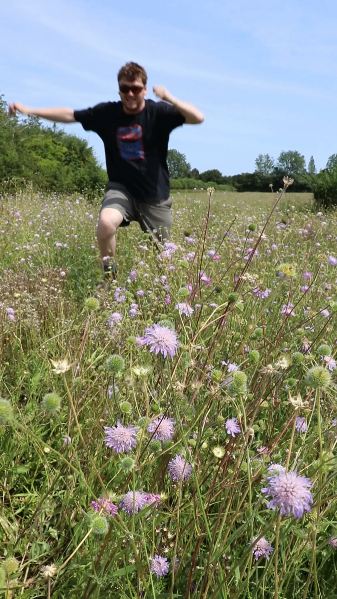Sow Wildflowers This Autumn