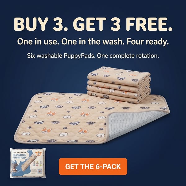 How We Potty Train Any Dog Instantly