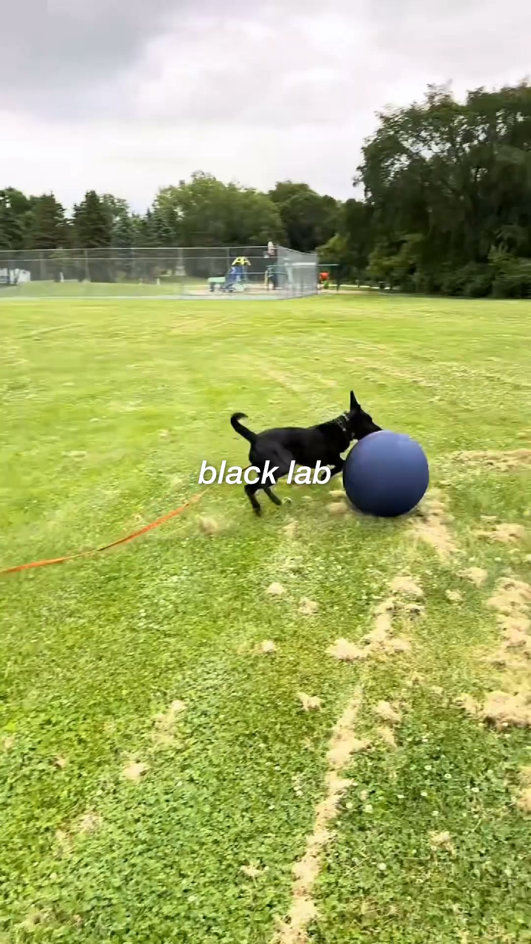 The Ball That Finally Gets Them To Settle