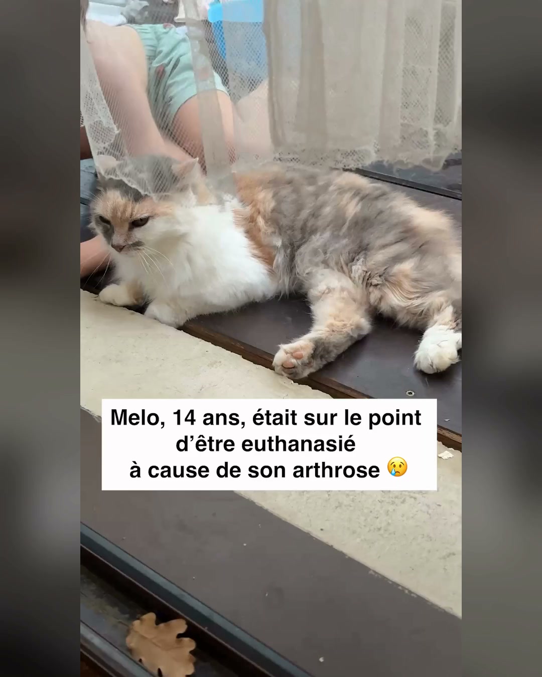 Soulage ses articulations