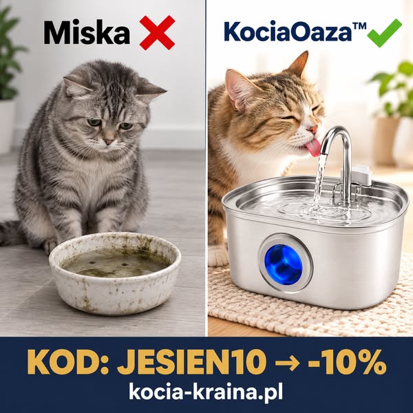 10% z kodem JESIEN10 Twój kot zasługuje na lepszą wodę