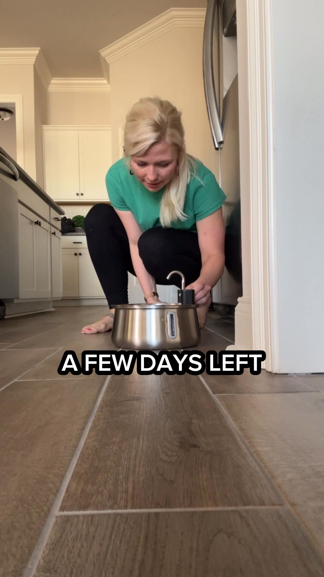 The #1 Vet-recommended Dog Fountain