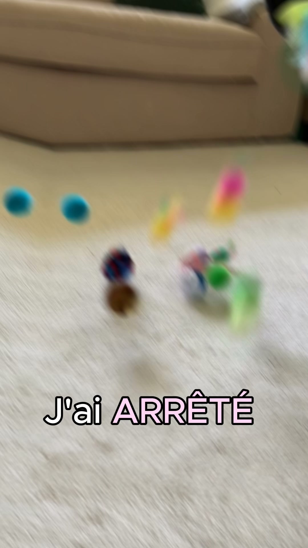 #1 Jouet pour chat