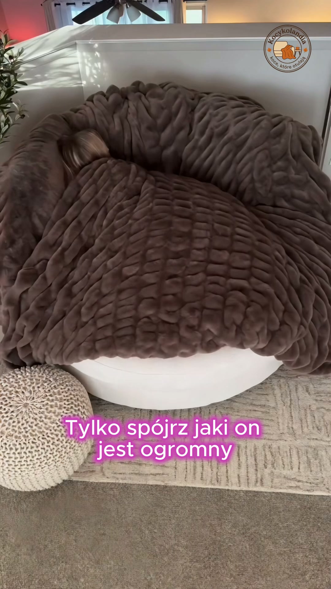 Tysiące zmarzluchów oszalało na jego punkcie!