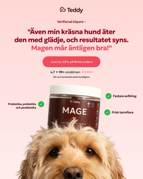 Höstkampanj 50% och fri frakt!