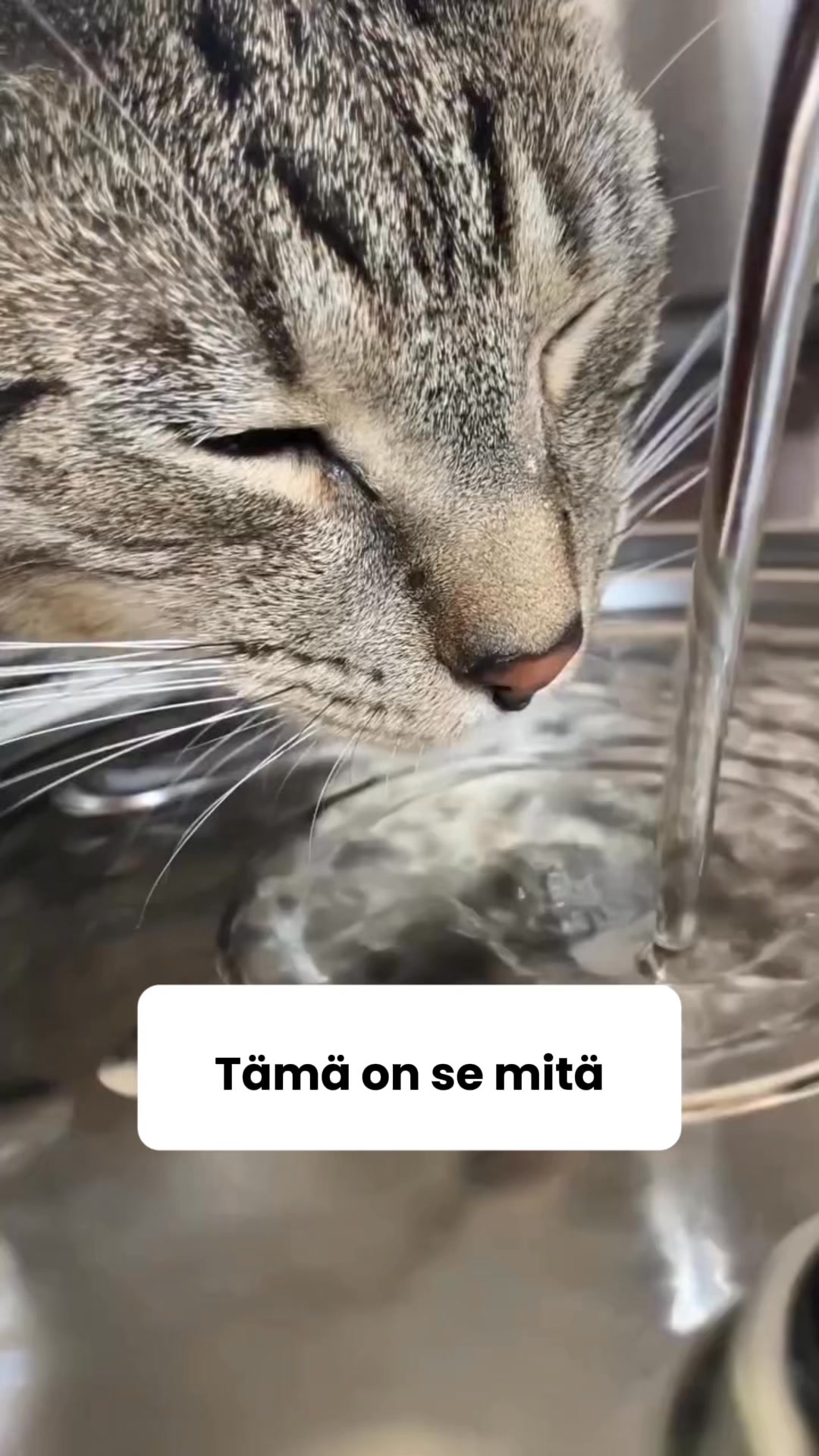 Saat 50% alennuksen + ilmaisen lahjan! Vain rajoitetun ajan!