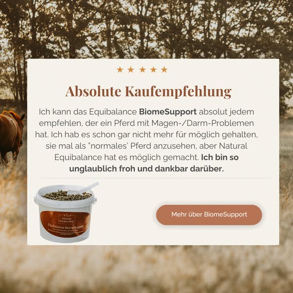 Jetzt den Unterschied entdecken