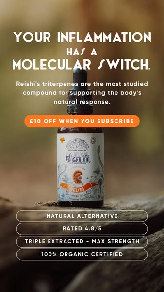 Triple Extracted For Better Bioavailability