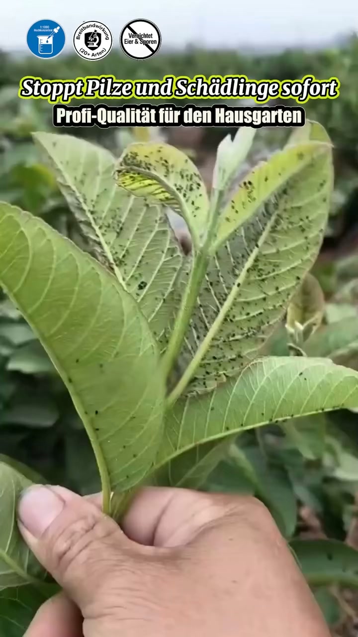 Der perfekte Start ins Gartenjahr