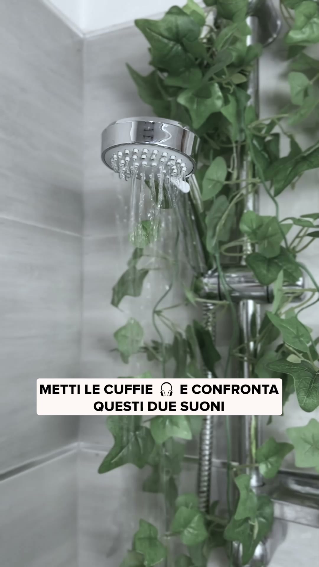 Spedizione Gratuita