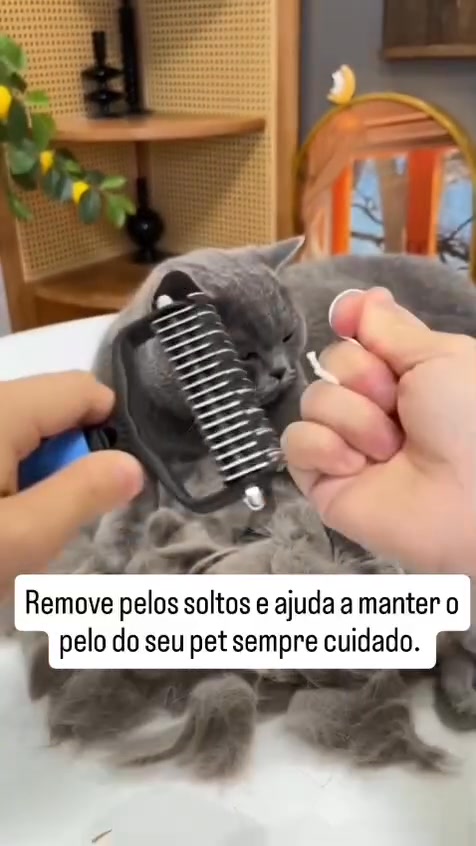 Garante já a tua