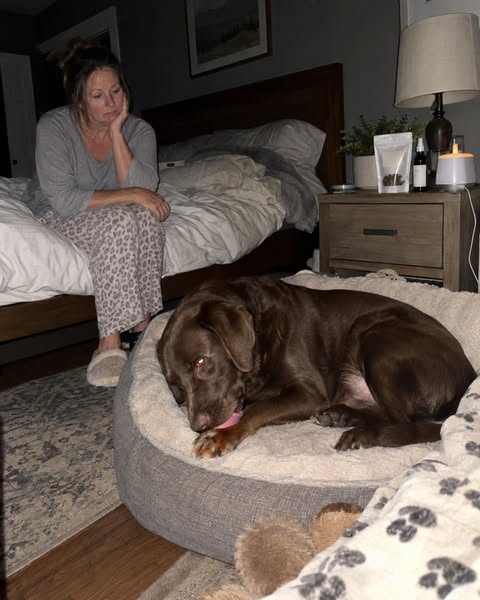 I’m a Dog Trainer. I Thought My Dog’s Nighttime Paw Licking Was Anxiety.