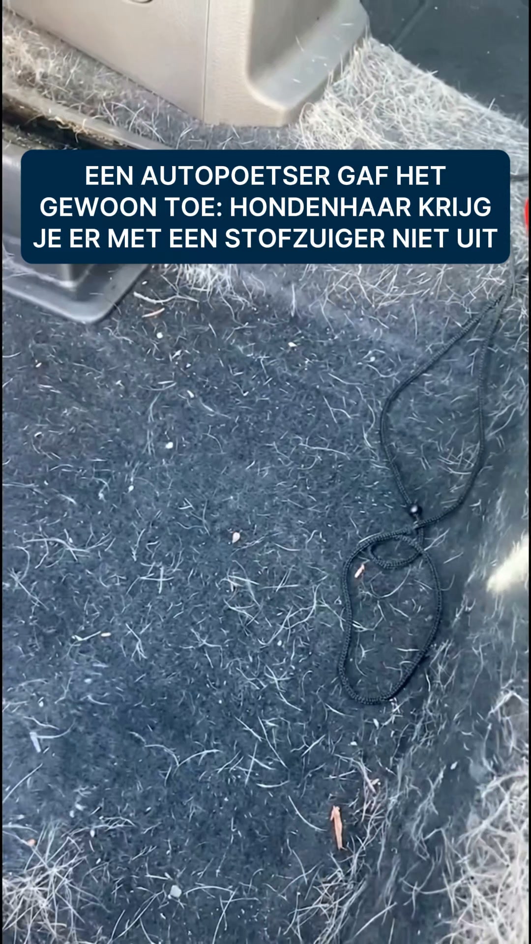 Verwijder Huisdier Haren In Één Veeg!
