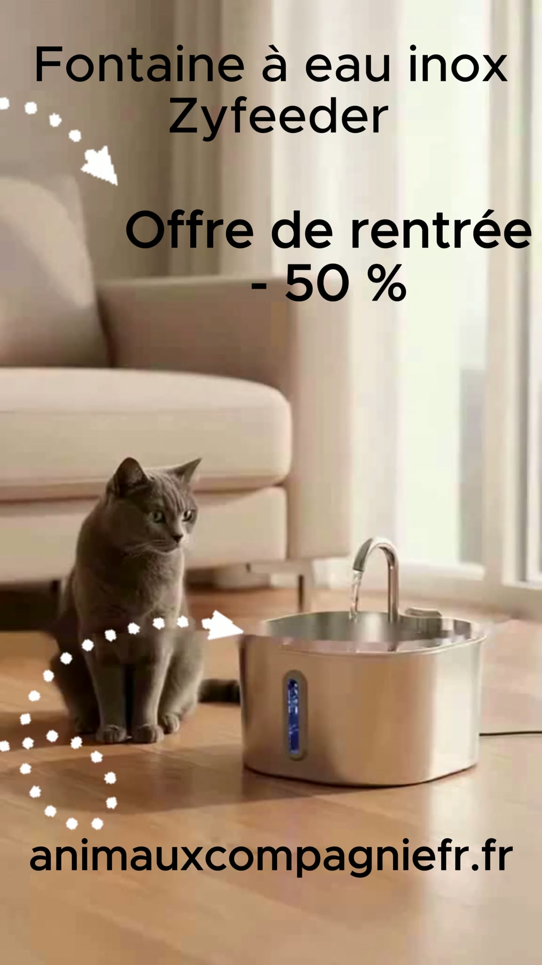 Enfin une fontaine qui donne envie à votre chat de boire davantage
