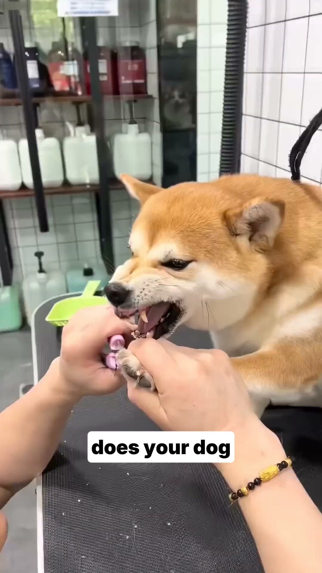 NailHero - See The Quick Before You Cut!