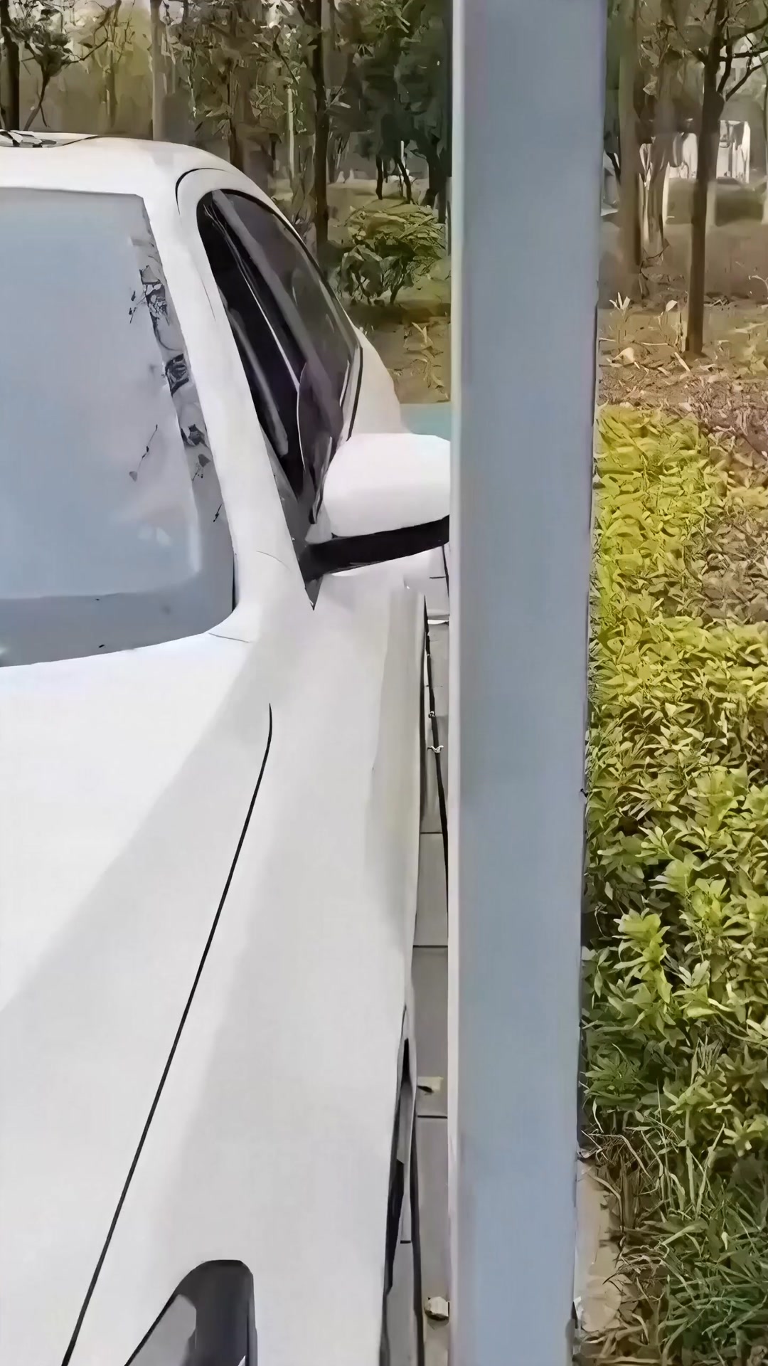Invisible Door Handle Protection