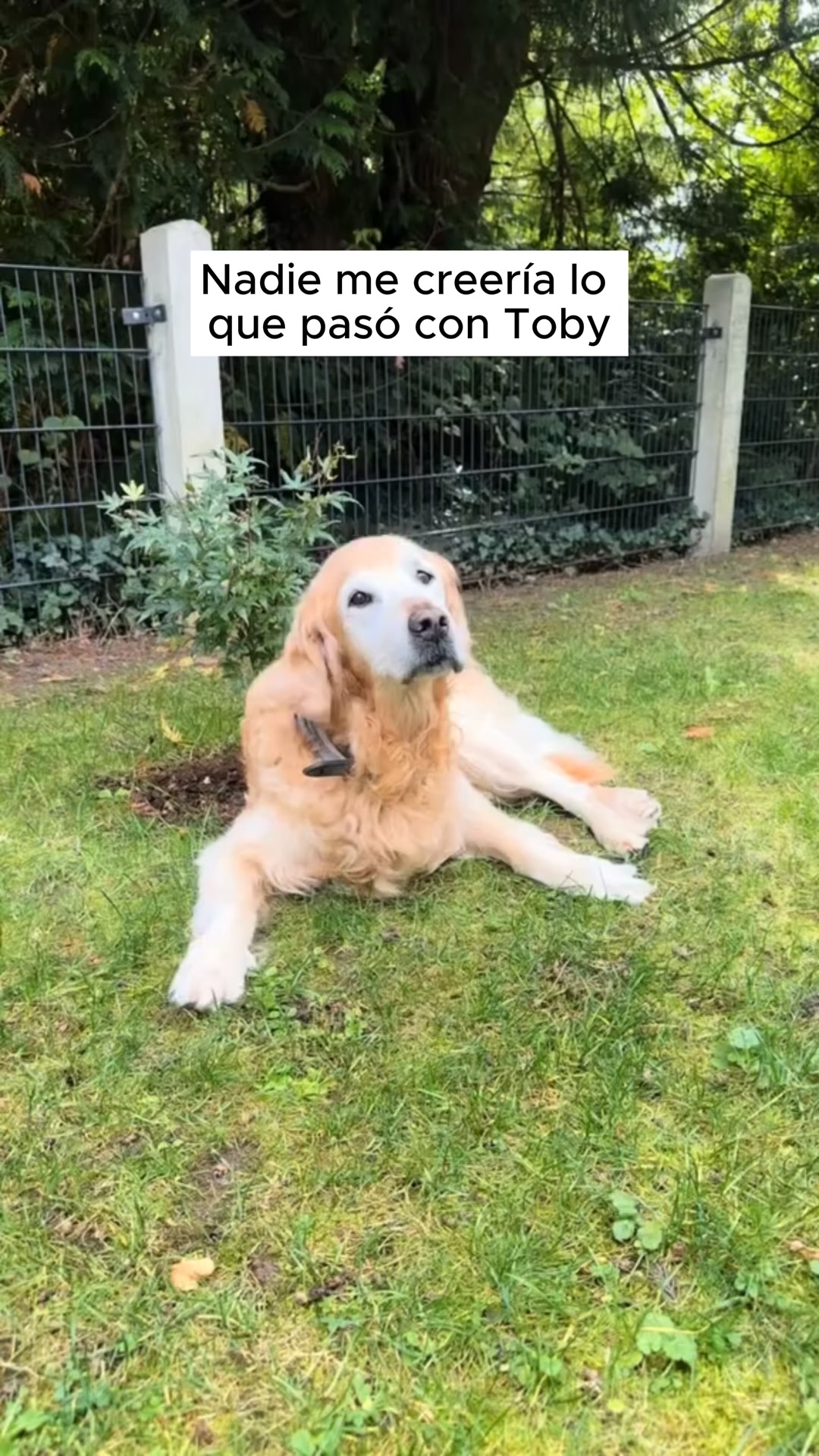 Para los que no lo dejan atrás.