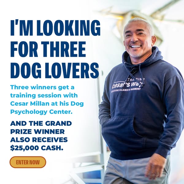 Win $25,000 and a Private Training Session with Me