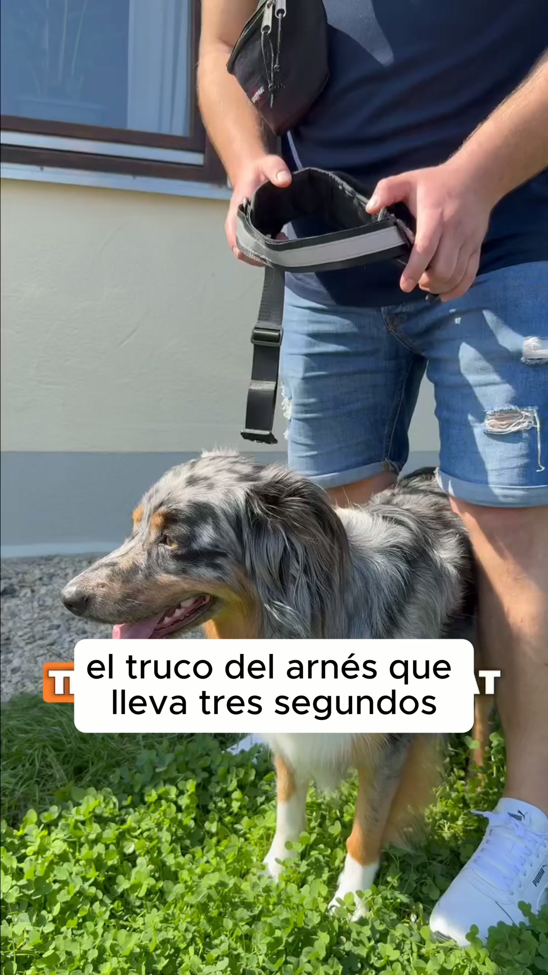 El arnés sin volver a empezar