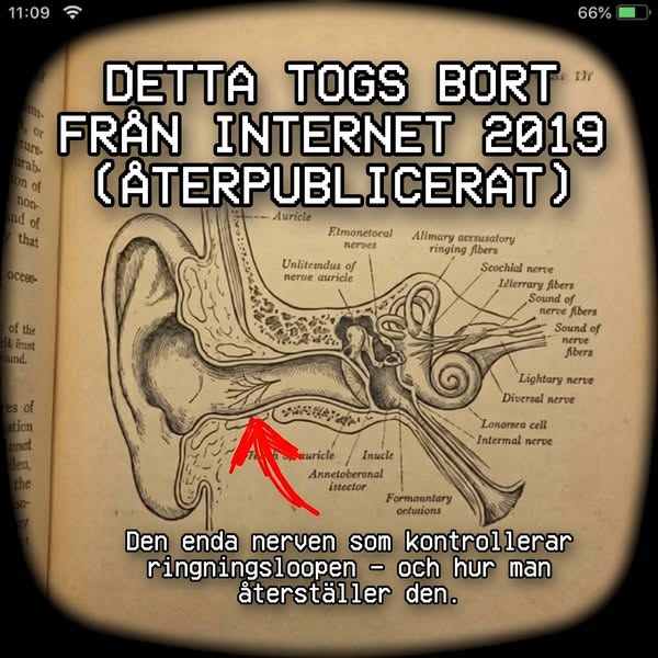 Läs det här om det tjuter i öronen