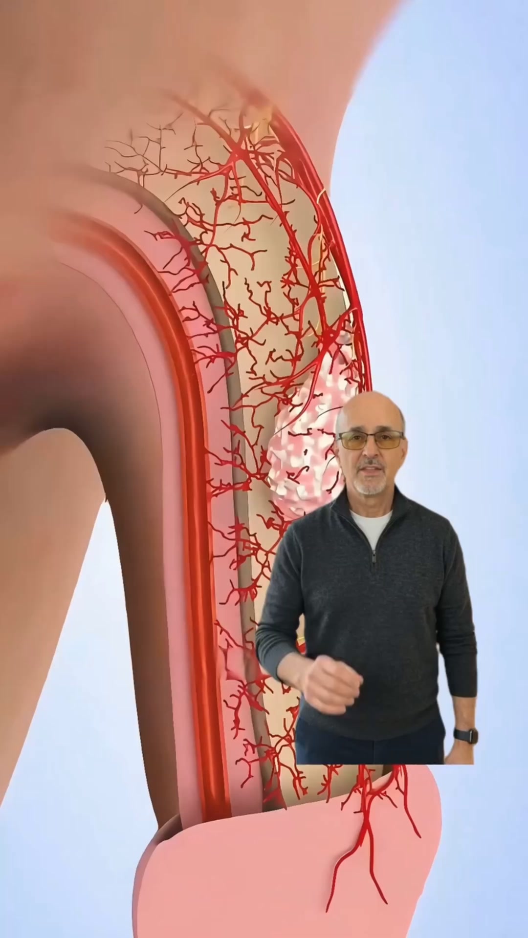 Your Penile Artery Is The Thinnest Blood Vessel In Your Body.