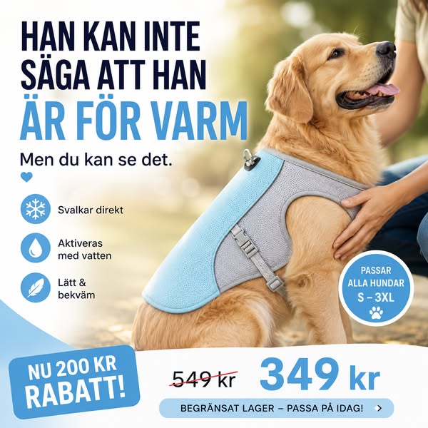 Hjälp din hund i värmen – spara 200 kr