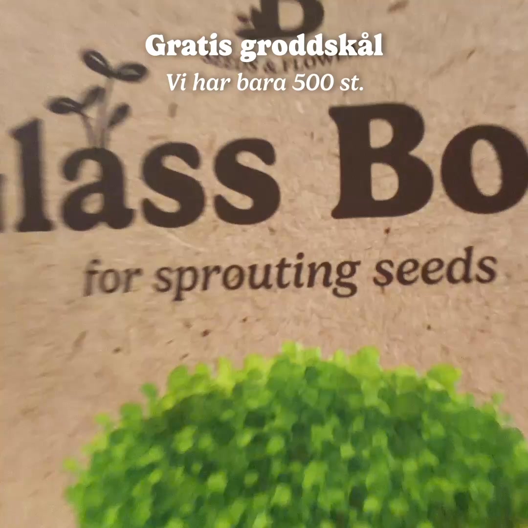 GRATIS ODLINGSSKÅL (ENDAST I AUGUSTI)
