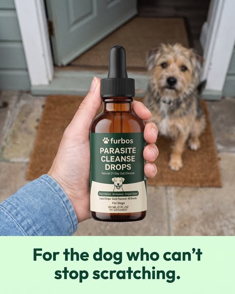 For The Dog Who Can't Stop Scratching