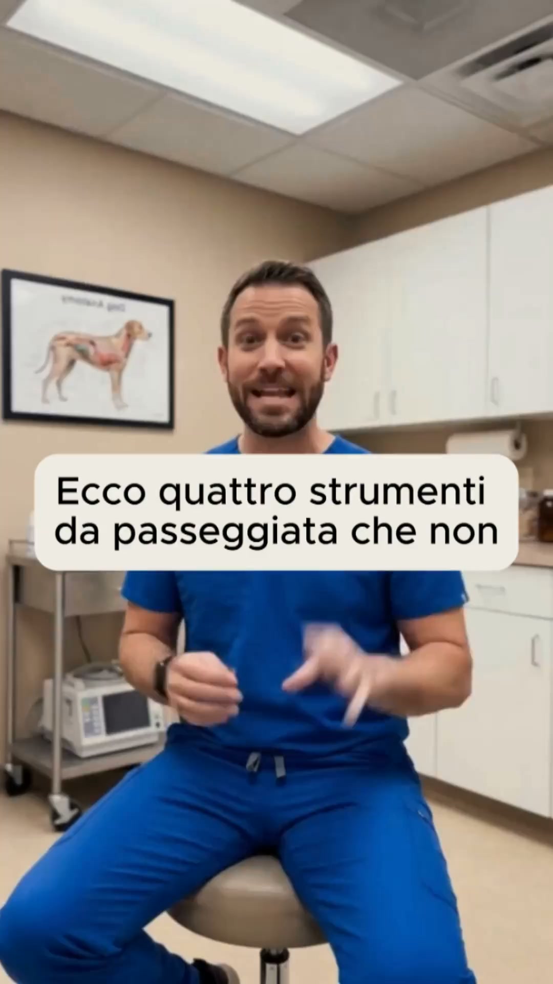 Una pettorina antitiro per ogni taglia e ogni razza