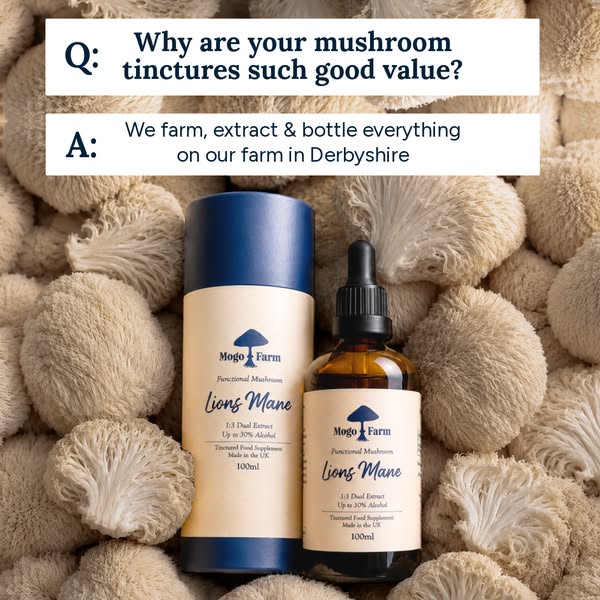 The 30 Second Mushroom Ritual That Sticks