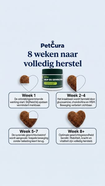 Pak de artrose van je hond bij de kern aan