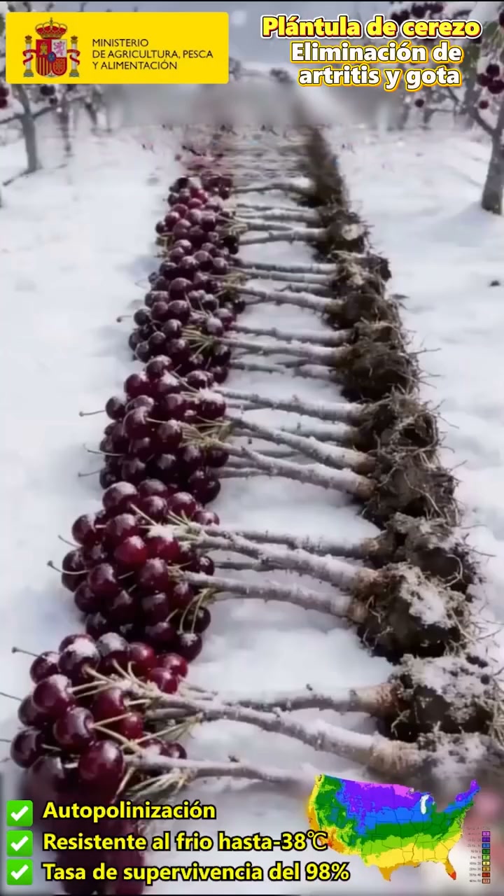 Anúncio de Gadgentnoteapp1