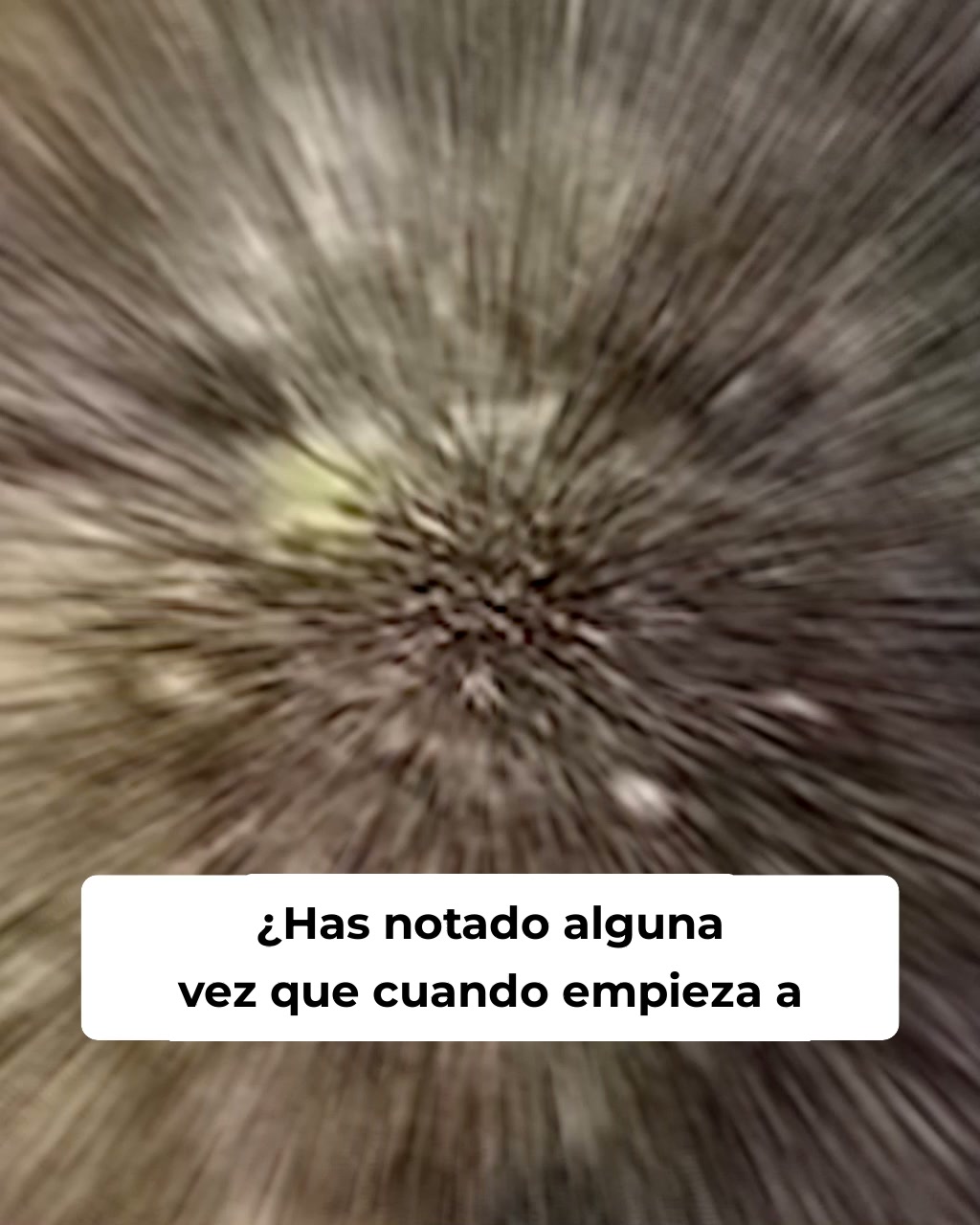 Reactiva tus folículos naturalmente