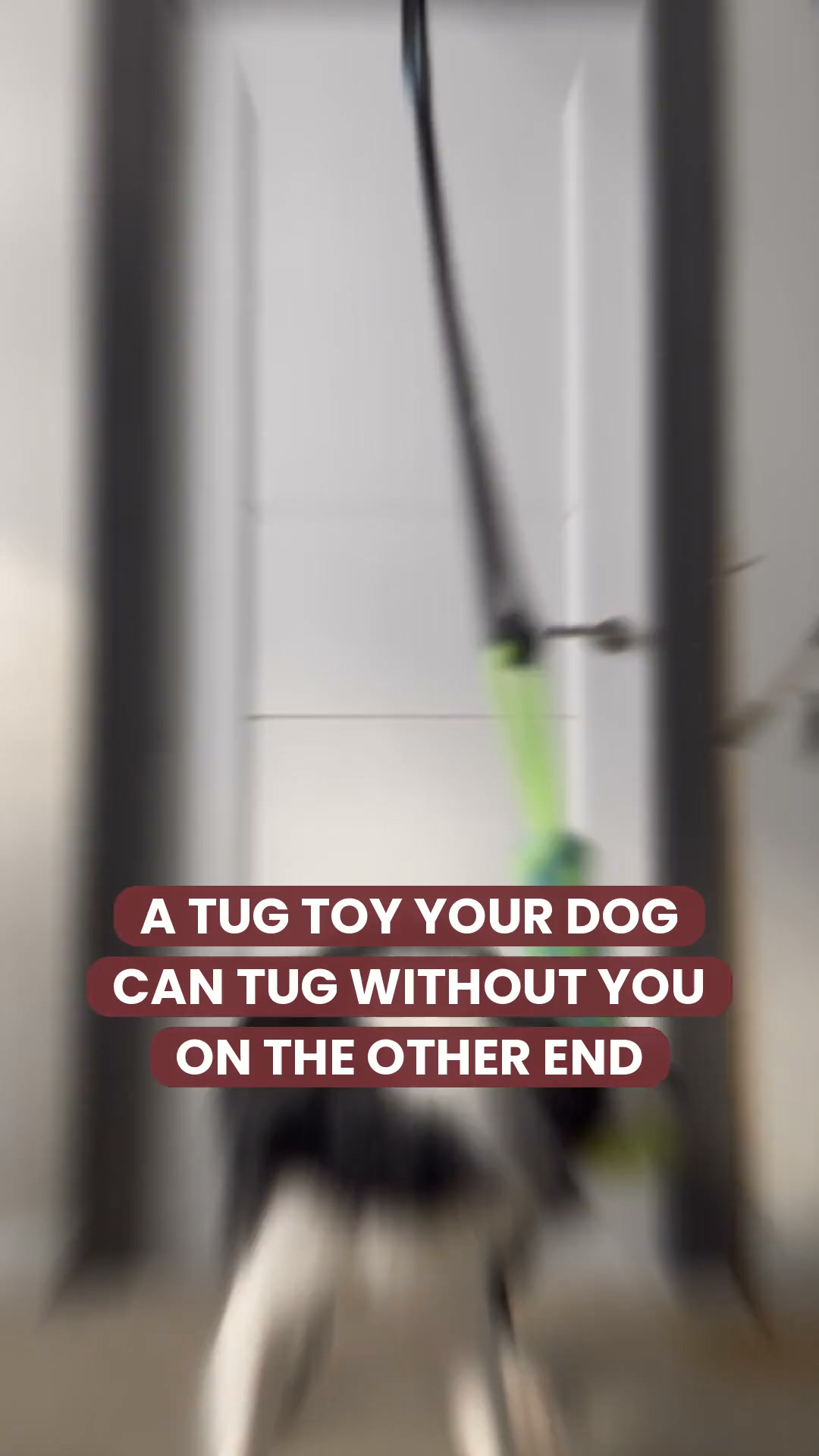 Let Him Tug. You Sit Down.