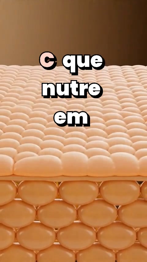Encomenda as tuas ainda hoje.
