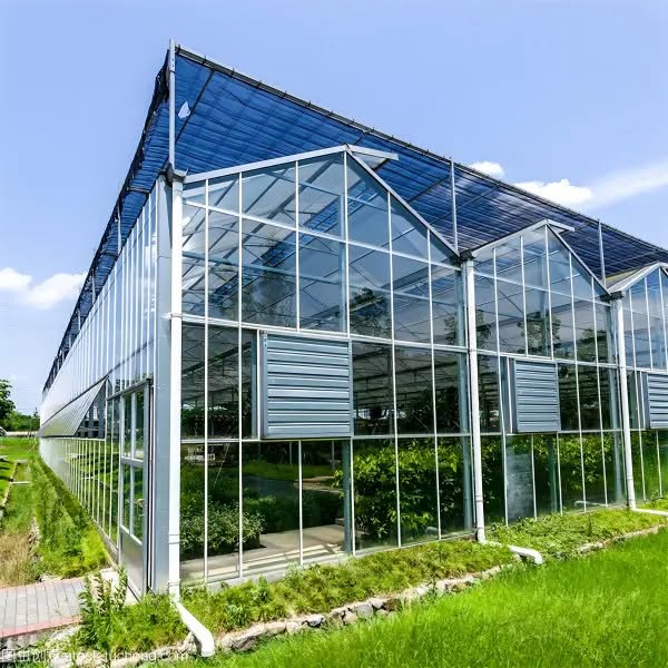 Venlo Type Greenhouse Supplier