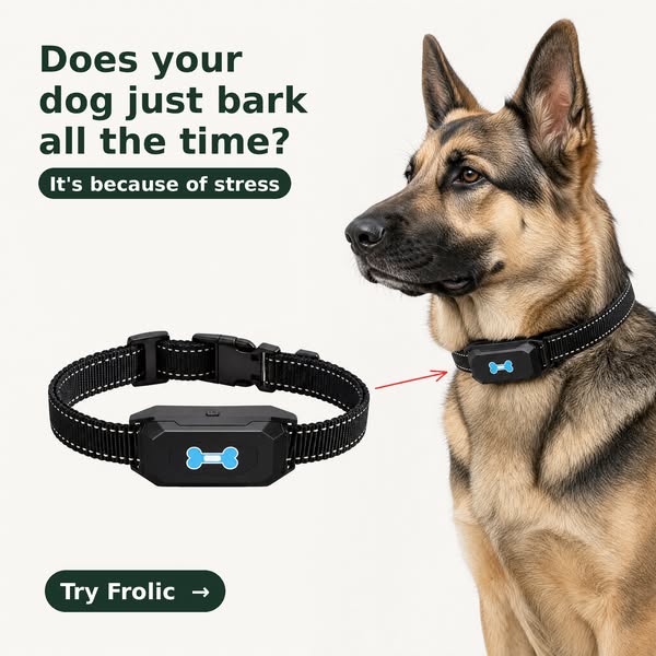 BUY 2 = GET 1 FREE - LIMITED TIME OFFER