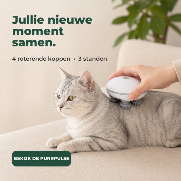 Ontspanning? Ontdek de actie