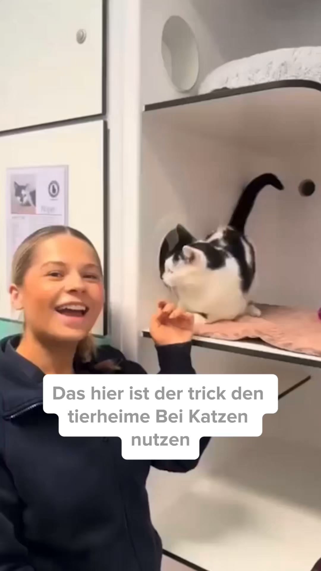 Krallenpflege ohne Stress – jetzt mit 3 Spielbälle + Ersatzfolie!