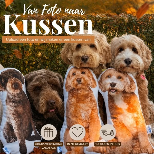 Van foto naar kussen