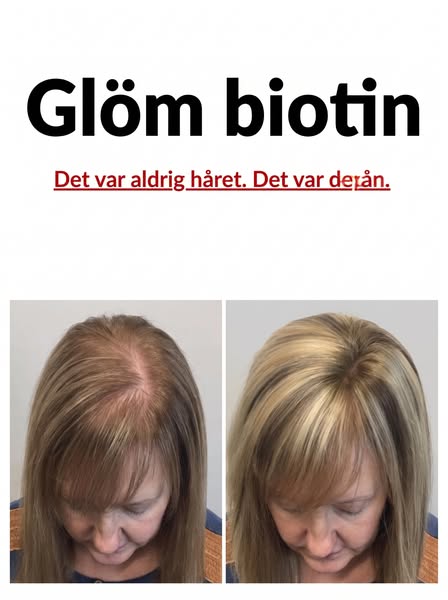Läs artikeln