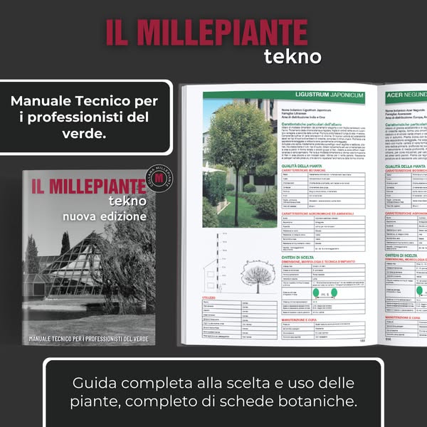 IL MILLEPIANTE TEKNO