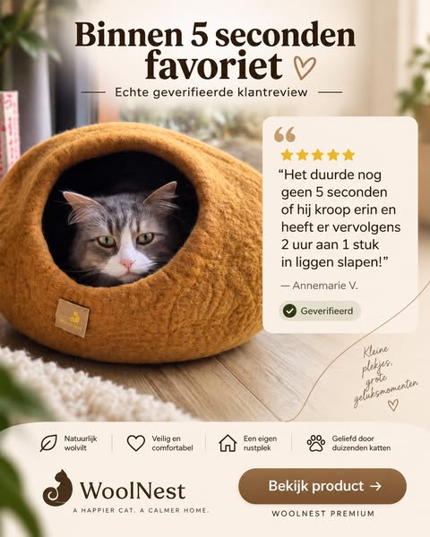 De kattenmand die de doos verslaat.