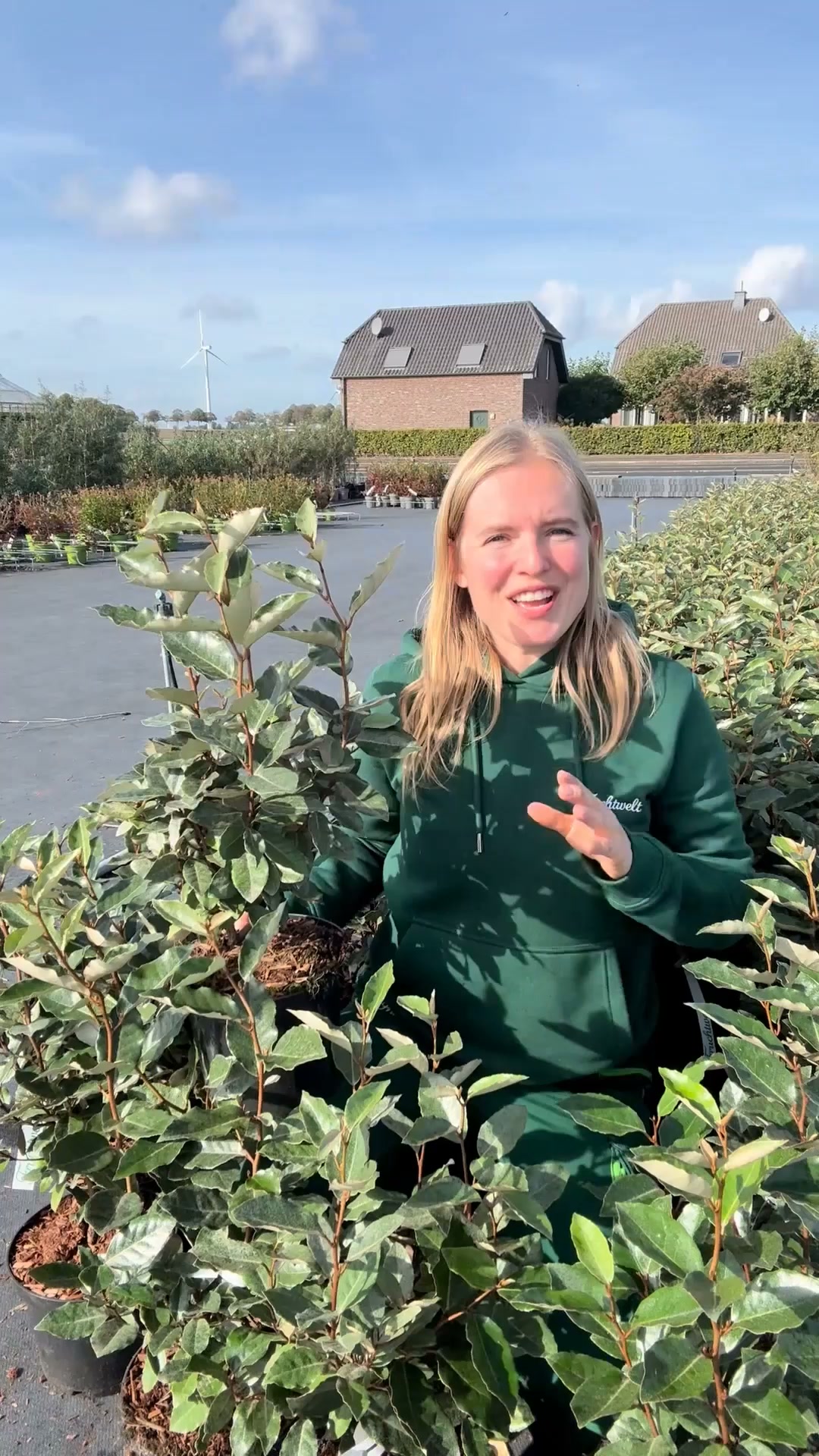 Die Wunder-Hecke – 6 für 3 Aktion